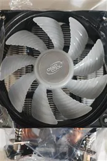 Fan