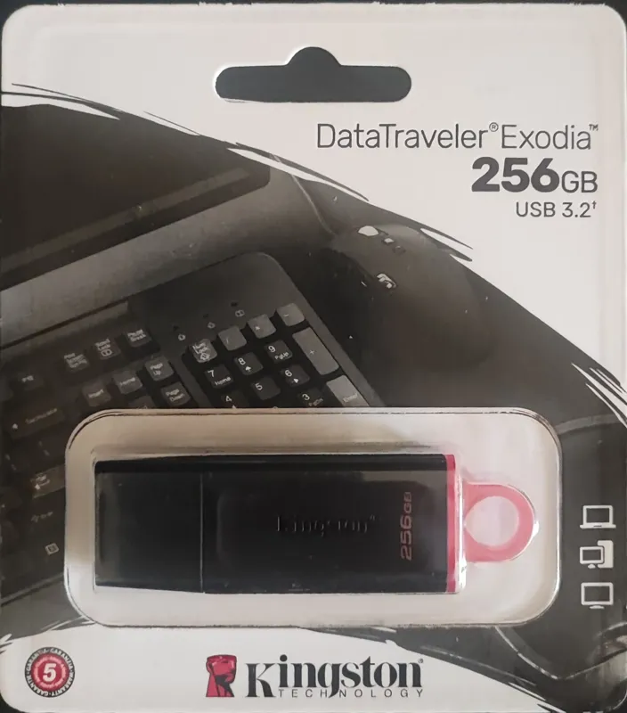 فلش مموری کینگستون 256 گیگ مدل DataTraveler Exodia