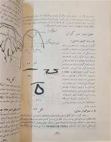 جنین