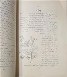 نشریه