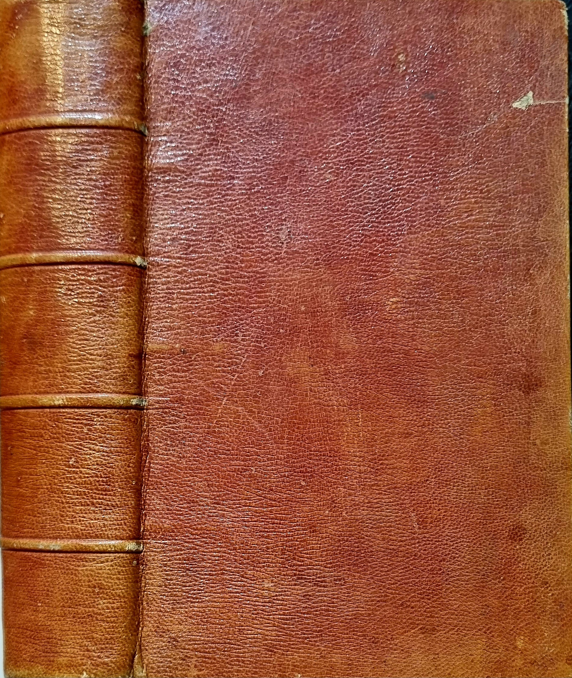 قرابادین نوتانژل 1880 پاریس