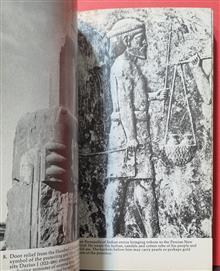 Alexander