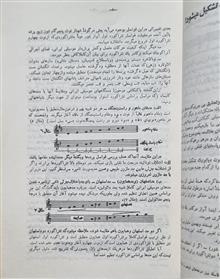 کاوشی