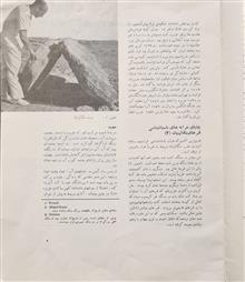جزیره