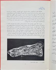 جزیره