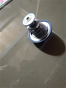 ترموستات