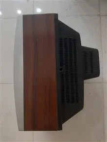 تلوزیون