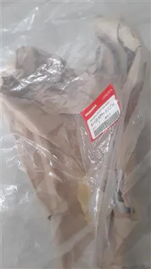 گلگیراصلی