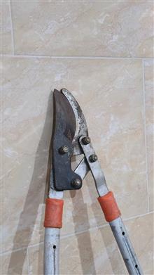 2عدد