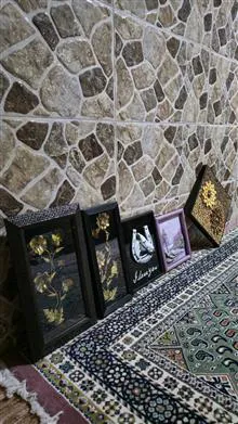 5عدد