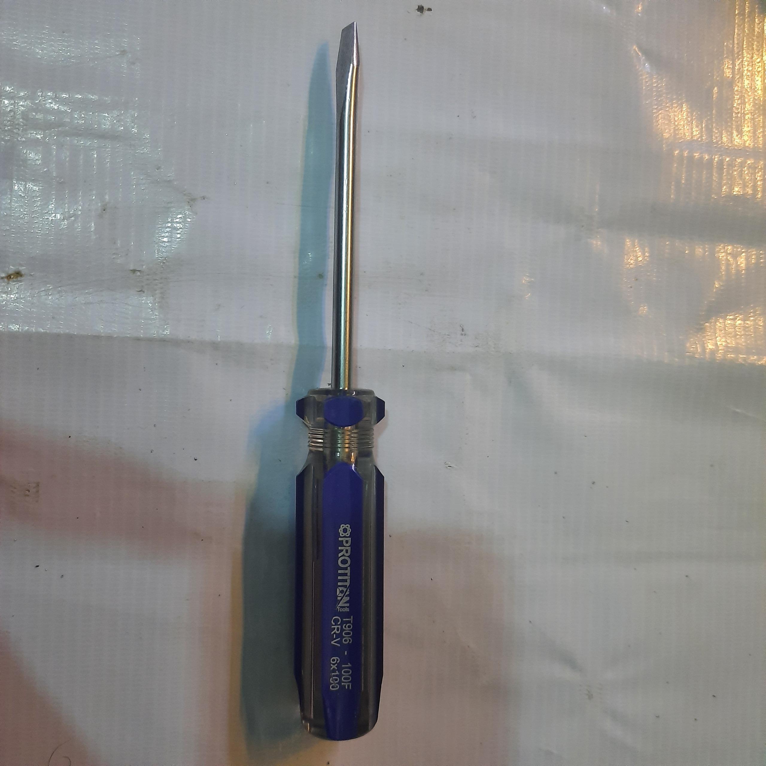 پیچ گوشتی دو سو PROTITON 6×100