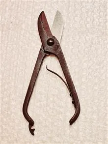 قیچی