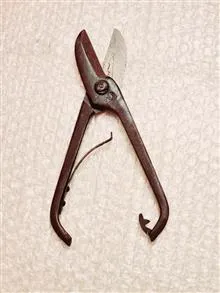 قیچی
