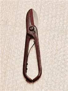 قیچی