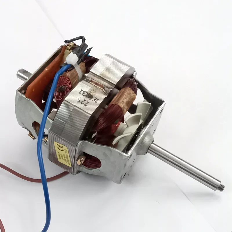 موتور جانسون AC 220 ولت