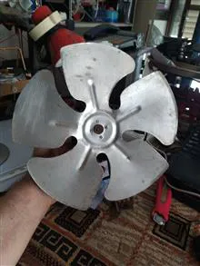 فن