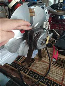 فن