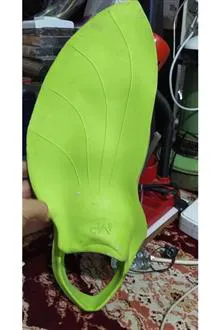 فین