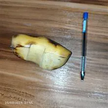 مجسمه