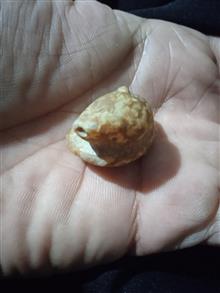 مهره