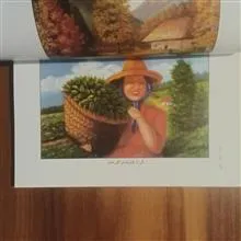 ماتاب