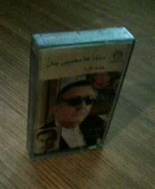 شاخه
