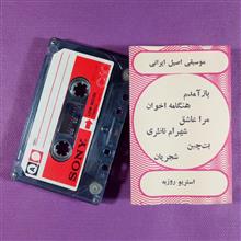 کاست