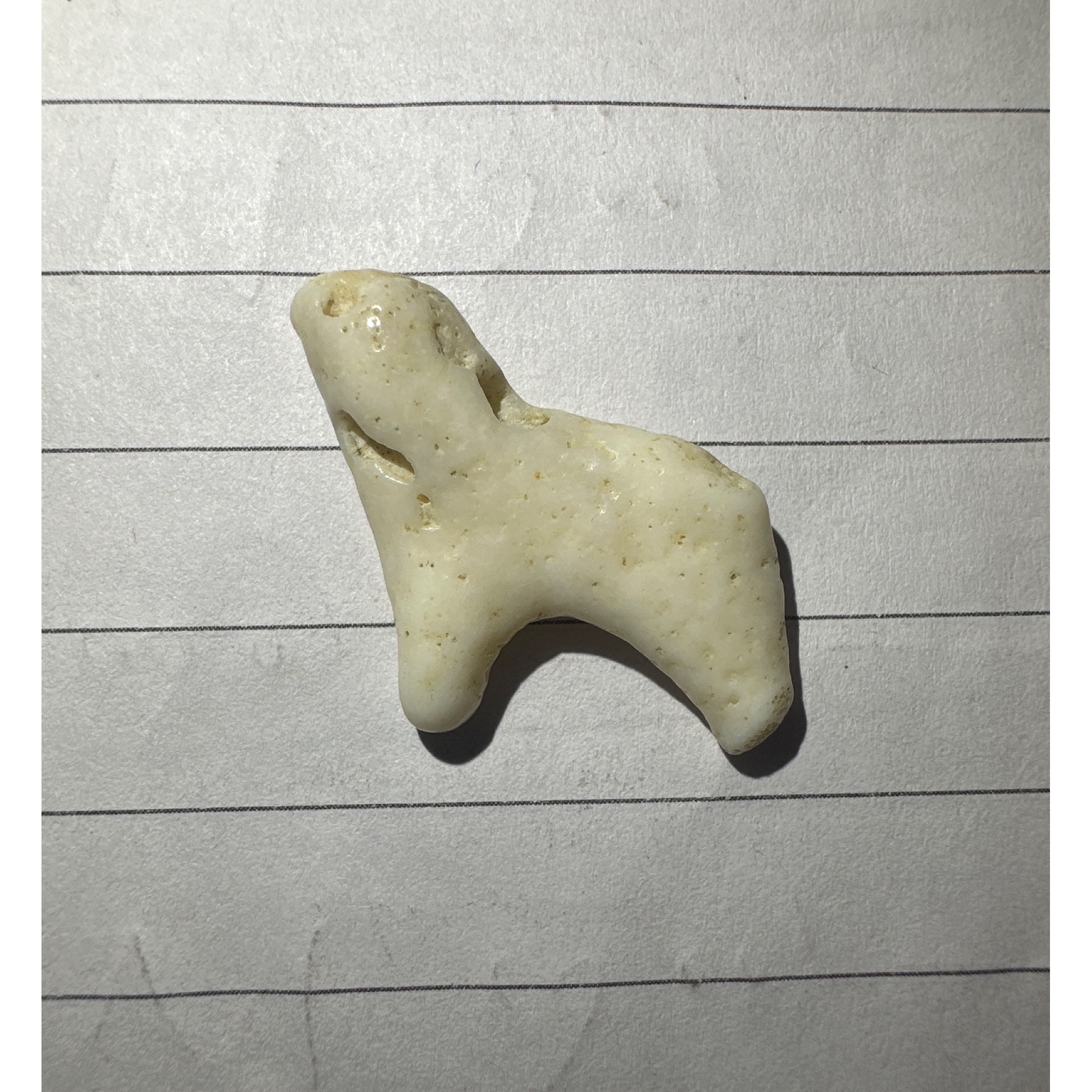 سنگ مرجان قدیمی