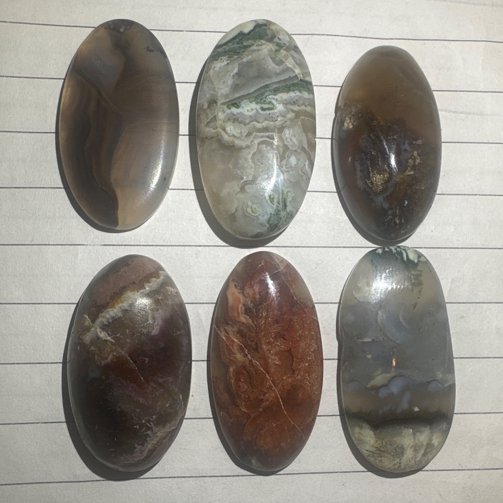 6 عدد سنگ شجر ( حراج )