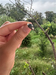 انگشتر