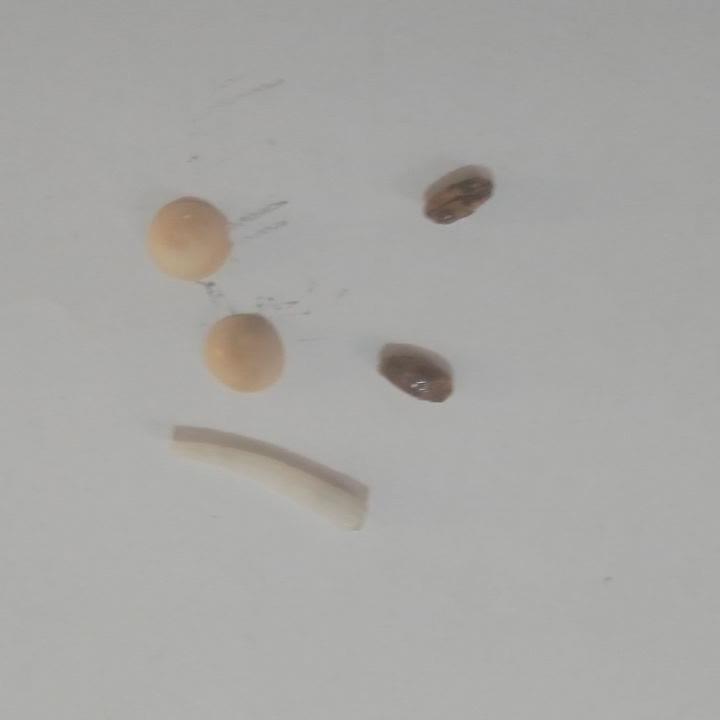 مهر مهر و محبت