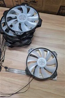فن