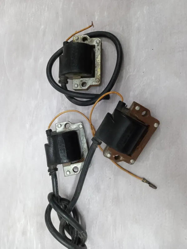 کوئل هندا ژاپنی