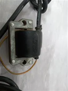 کوئل
