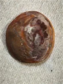 نگین