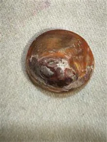 نگین