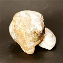 فسیل