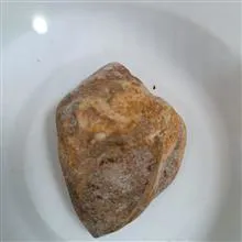 فسیل