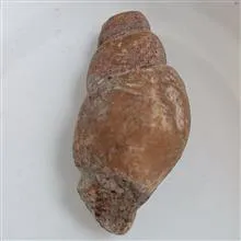 سنگ