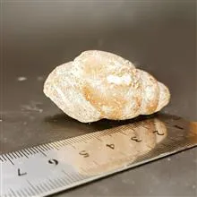 سنگ
