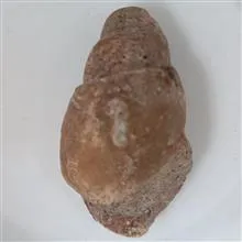 سنگ