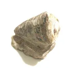 فسیل