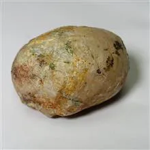 فسیل