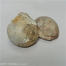سنگ