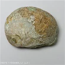 فسیل