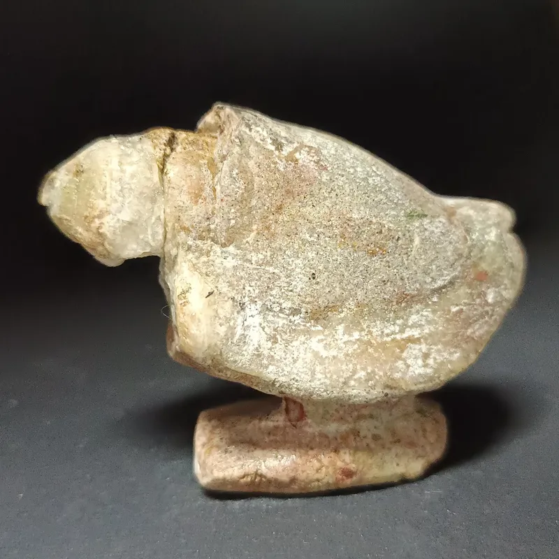 تندیس بلور فسیل گاستروپود جواهر عقیق 20 FOSSIL