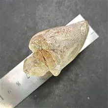 تندیس