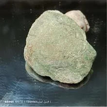 فسیل