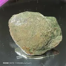 فسیل