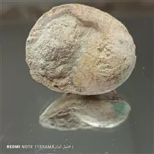 فسیل
